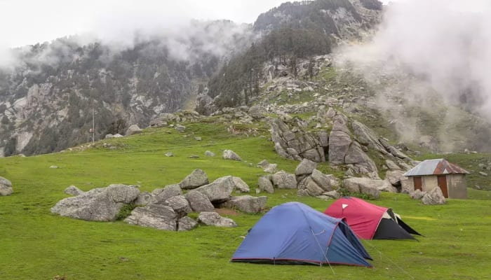 Camping & Trekking