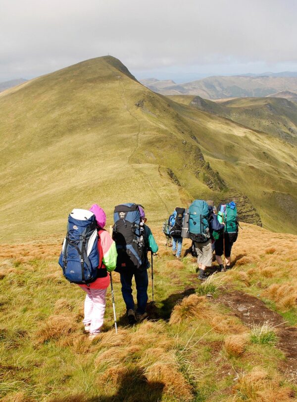 Group Tours